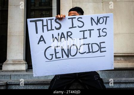 A young person holding a homemade sign, Trafalgar Square, central London. Stock Photo