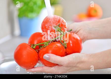 Washing vegetables. A woman in the kitchen. Stock Photo