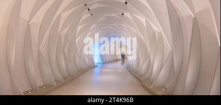 Dubai Museum of the Future entrance, an exhibition space for innovative and futuristic technologies. Stock Photo