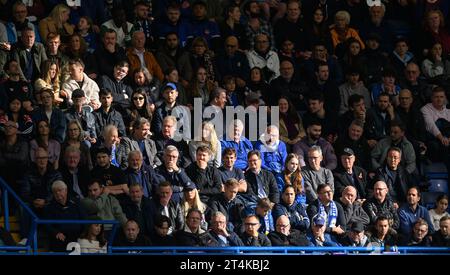 London, UK. 28th Oct, 2023 - Chelsea v Brentford - Premier League - Stamford Bridge. Chelsea fans in the October sunshine during the match against Brentford.                                                                               Picture Credit: Mark Pain / Alamy Live News Stock Photo
