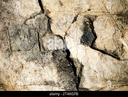 background or texture detail of cracks in cream-colored limestone Stock Photo