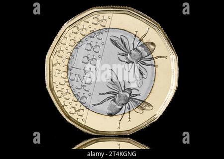 The new £1 coin design & the first Pound coin to feature King Charles III. This is part of new designs for all current UK legal tender coins Stock Photo