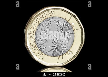 The new £1 coin design & the first Pound coin to feature King Charles III. This is part of new designs for all current UK legal tender coins Stock Photo