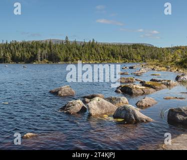 A path of rocks in the water towards the forest  at Berry Hill Pond in Newfoundland in autumn Stock Photo