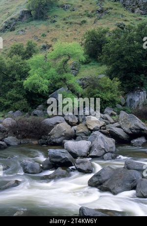 Kern River, Sequoia National Forest, California Stock Photo