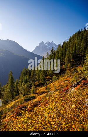autumn view in Argentiere, Chamonix, France Stock Photo