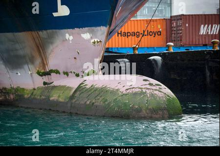 Container ship tied up at the Port of Wellington container Stock Photo