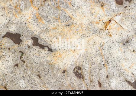 Foam bubbles from soap or shampoo washing by the side of freshwater pond as a result of pollution top view Stock Photo