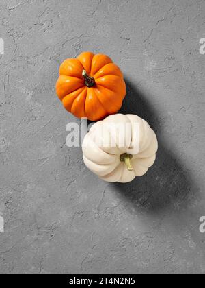 Autumn pumpkins on gray textured background. Top view. Stock Photo