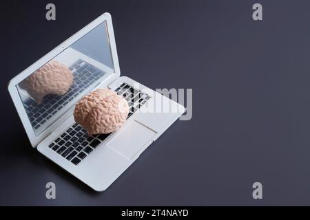 Human brain on top of laptop with copy space. Artificial intelligence concept Stock Photo