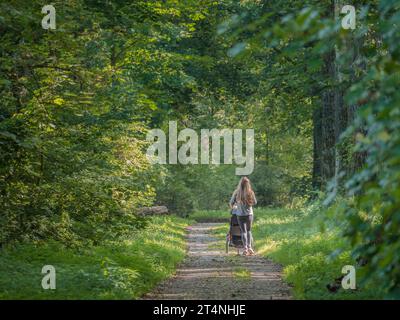 Run fit runner woman jogging in green summer forest woods park, healthy active lifestyle exercising cardio in nature outdoors Stock Photo