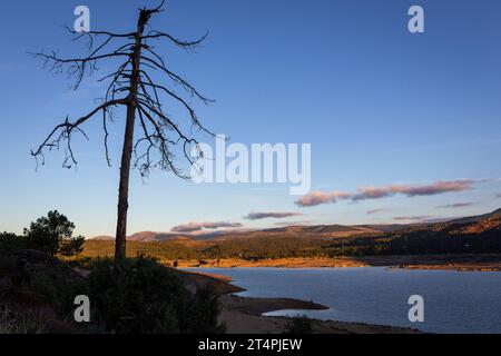 Sunset over El Burguillo Reservoir in Avila province in Spain with silhouette of a single dry tree, lake landscape, copy space. Stock Photo