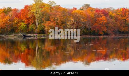 Looking at the fishing bridge surrounded by colorful autumn colored leaves that are reflecting on the water of Southards Pond in Babylon Village. Stock Photo