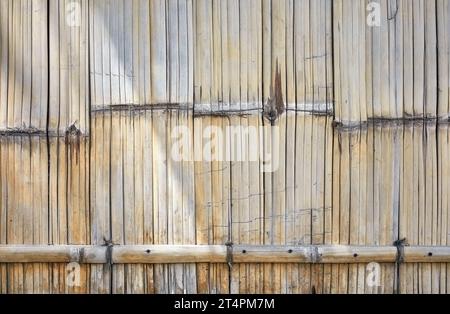 Close up photo of bamboo mat wall, natural background. Stock Photo