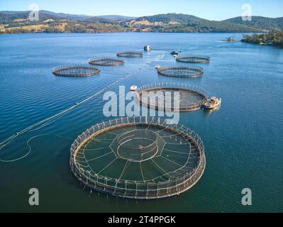 an aerial drone view of a salmon farm in Tasmania Stock Photo