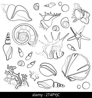 Seashells vector outline drawing set. Various mollusk sea shells different forms, echinus, sea urchin, starfish, seaweed.Hand drawn illustration Stock Vector