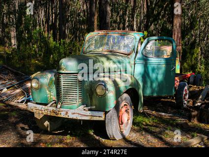 an abandoned green international delivery truck Stock Photo