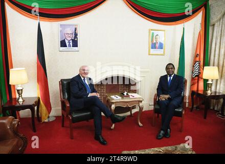 Lusaka, Zambia. 01st Nov, 2023. German President Frank-Walter Steinmeier (l) and Hakainde Hichilema, President of Zambia, meet for talks at State House. President Steinmeier is visiting the East African countries of Tanzania and Zambia this week. Credit: Bernd von Jutrczenka/dpa/Alamy Live News Stock Photo