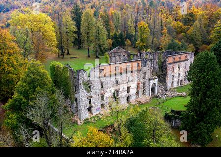 Aerial view of a ruins of a Haasberg castle, surrounded with old trees in autumn colours, on a cloudy autumn day, planina, slovenia Stock Photo