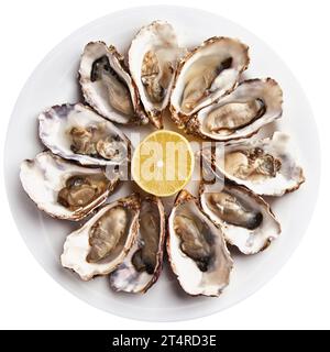 Fresh open oysters served with lemon slices on white plate, isolated on white background. Stock Photo