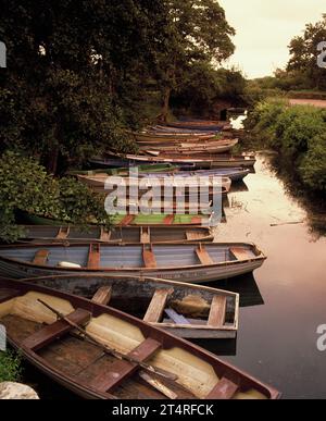 Ireland. County Kerry. Killarney. Lough Leane. Moored rowing boats near Ross Castle. Stock Photo