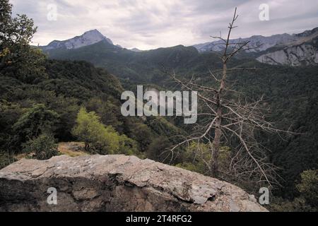 mountains covered by forest of Perucica Primeval Rainforest in Sutjeska National Park, Bosnia and Herzegovina Stock Photo