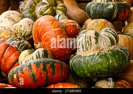 stack of mitre cap pumpkin Stock Photo