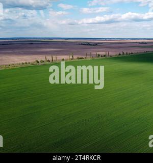 A dry irrigation canal in a sown field, aerial view. Farmland landscape. Stock Photo