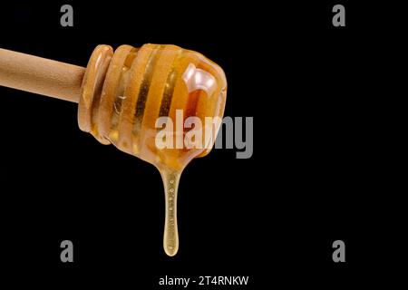 Liquid and fresh honey dripping from wooden honey spoon black background Stock Photo