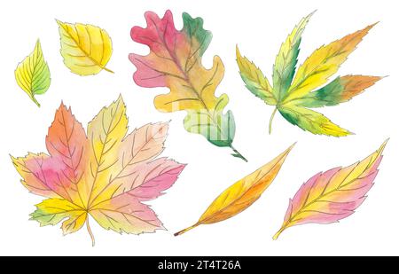 Watercolor clipart autumn leaves isolated hand drawn on white background. Beautiful colorful botanical illustration. Art for design card, logo wedding Stock Photo