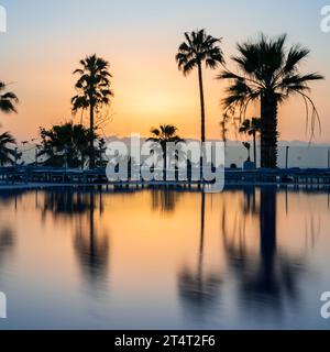 Palm trees silhoutted against an orange sunset, reflected in very calm water, on Tenerife, Spain Stock Photo