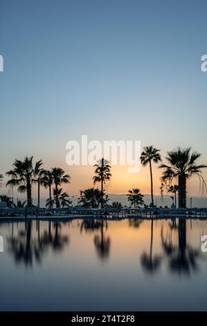 Palm trees silhoutted against an orange sunset, reflected in very calm water, on Tenerife, Spain Stock Photo