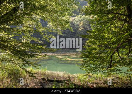 Picture of Jankovac pond in Papuk, Croatia. Papuk is the largest mountain in the Slavonia region in eastern Croatia, near the city of Požega. It exten Stock Photo