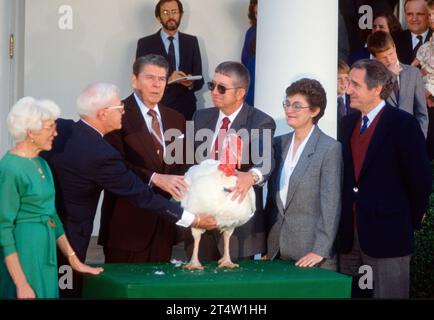 United States President Ronald Reagan and Peter Hermanson, president of the National Turkey Federation, third right, participate in the annual White House Thanksgiving turkey presentation in the Rose Garden of the White House in Washington, DC on Friday, November 18, 1988. The turkey, named Woody, came from Iowa and weighs between 40 and 50 pounds. He will be sent to a pet farm in Reston, Virginia. Standing at far right is US Senator Tom Harkin (Democrat of Iowa). Credit: Arnie Sachs/CNP Stock Photo