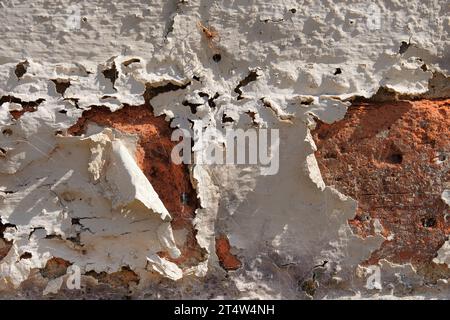Spider hidden in plain sight on brick wall with peeling white paint Stock Photo