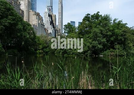 View of Manhanttan skyline as seen from the Pond, one of seven bodies of water in Central Park, located near Grand Army Plaza, Central Park South Stock Photo