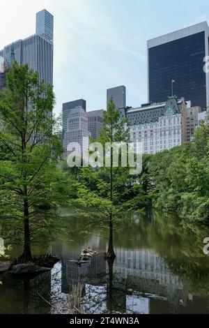 View of Manhanttan skyline as seen from the Pond, one of seven bodies of water in Central Park, located near Grand Army Plaza, Central Park South Stock Photo