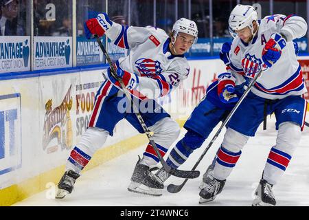 Rochester, New York, USA. 1st Nov, 2023. Rochester Americans forward Olivier Nadeau (20) skates in the first period against the Syracuse Crunch. The Rochester Americans hosted the Syracuse Crunch in an American Hockey League game at Blue Cross Arena in Rochester, New York. (Jonathan Tenca/CSM). Credit: csm/Alamy Live News Stock Photo