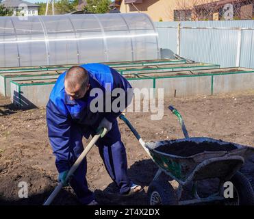 A man works in a vegetable garden in early spring. Digs the ground. Stock Photo