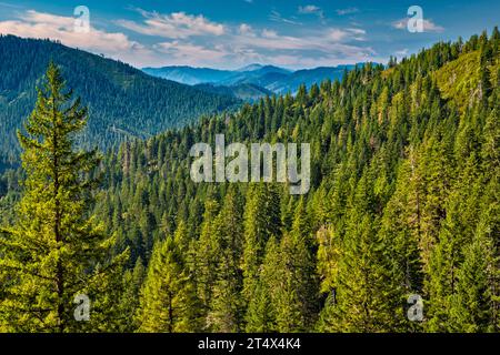 Klamath Mountains, distant view from Bear Camp Road, Forest Service Rd 23, near community of Galice, Rogue River Siskiyou National Forest, Oregon, USA Stock Photo