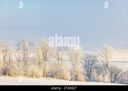 Winter day in the countryside with snow and frost Stock Photo