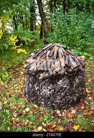 Drying and storage of firewood in the form of a house or a stack. Preparation of firewood for the winter. Rustic style. Stock Photo