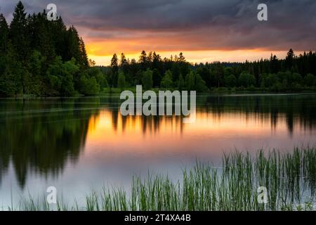 Landscape in the Black Forest. Beautiful lake Windgfällweiher , surrounded by forest. The sunset sky is reflecting in the water. Germany. Stock Photo