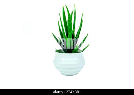 Fake plant in a pot isolated on a white background. Interior decoration Stock Photo