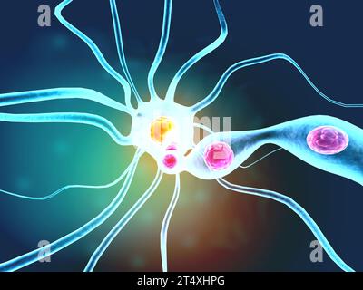 Neural network in the brain. nervous system , Neurons. 3d render Stock Photo