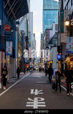 Tokyo, Japan-March 31, 2023; Vertical view Ginza Renga-Dori Street during dusk busy lined with department store and shopping people Stock Photo