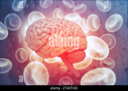Human brain anatomy with science background. 3d illustration Stock Photo