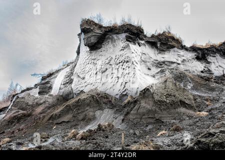Ice wedge at Duwanni Jar, bank of the Kolyma, the bank breaks off due to thawing permafrost, trees sink, drunken trees, Yakutia, Russia Stock Photo
