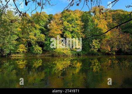 River Taff and Autumn colours, Blackweir, Pontcanna, Cardiff, Wales. Stock Photo