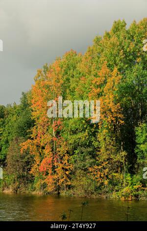 River Taff and Autumn colours, Blackweir, Pontcanna, Cardiff, Wales. Stock Photo